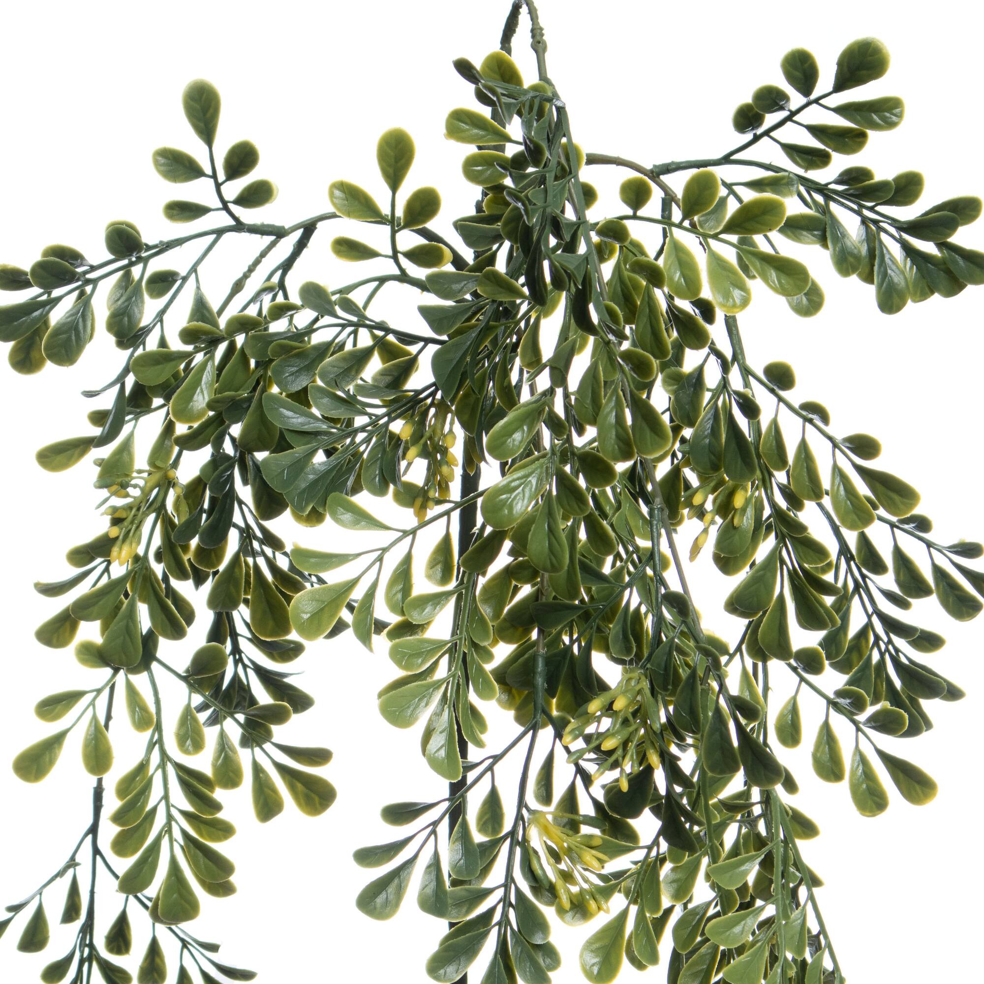 31" Hanging Seeded Boxwood Stem by Ashland®